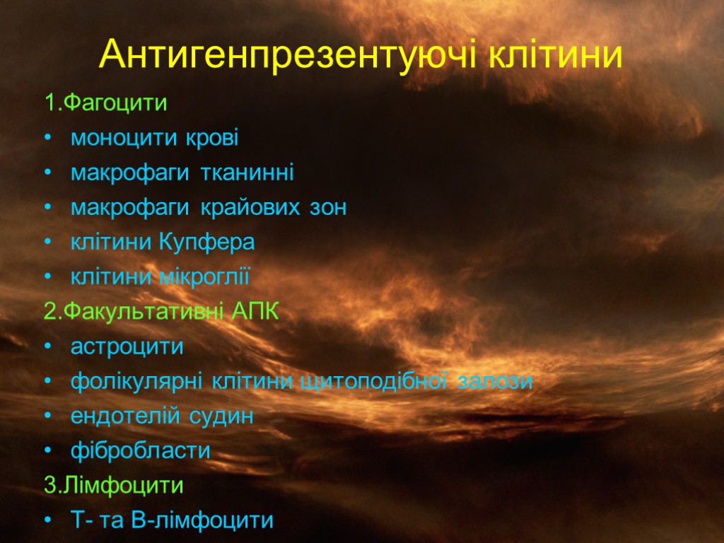 Антигенпрезентуючі клітини 1.Фагоцити моноцити крові макрофаги тканинні макрофаги крайових зон клітини Купфера клітини мікроглії